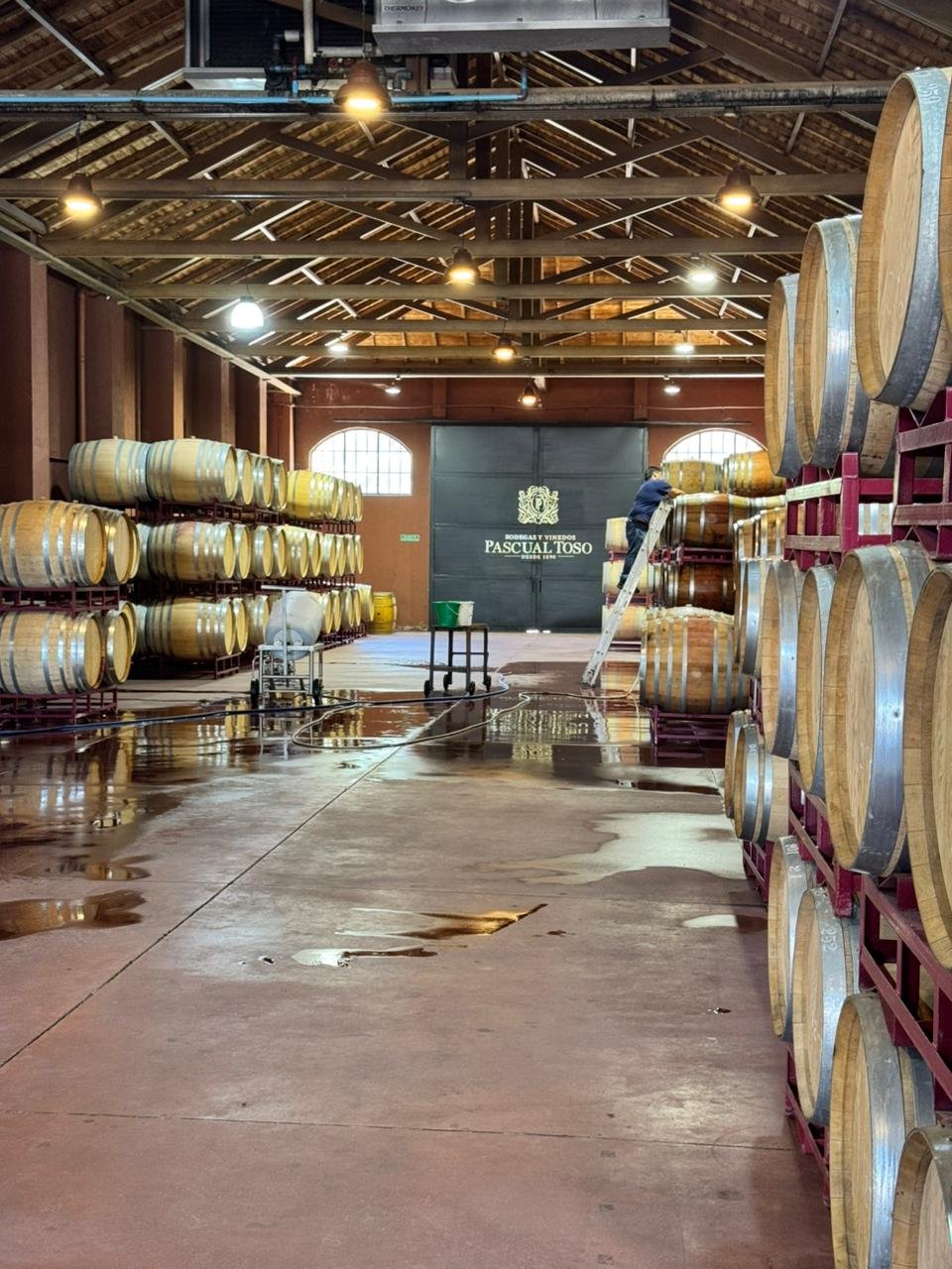 Sala de barricas de una bodega tradicional de Mendoza